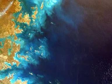 Wellcome Summer Internship Programme