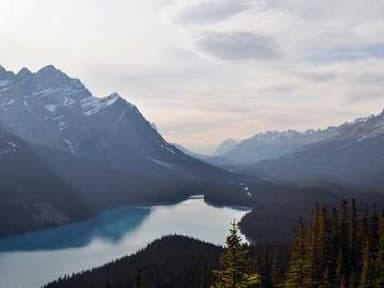 Velay Summer Undergraduate Research Fellowship (VSURF)