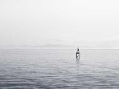 New York Genome Center Summer Internship Program