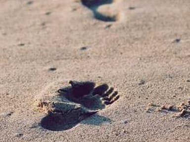 Epi Scholars Program