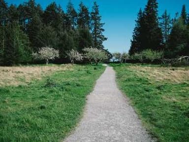 Segal NYC Research Intern (The 31 Women Collection)