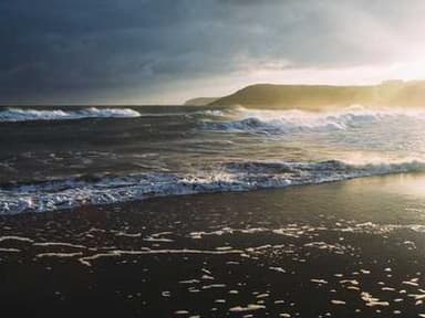 SUSTech Term Visiting / Exchange Program