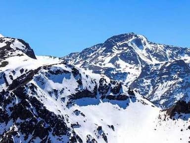 University of Tokyo Research Internship Program (UTRIP)