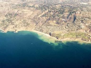 Animal Behavioral Research Intern - Spring 2026