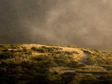 Pace University Undergraduate Summer Internship