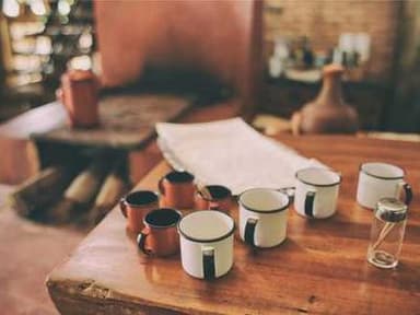 Summer Undergraduate Research Program