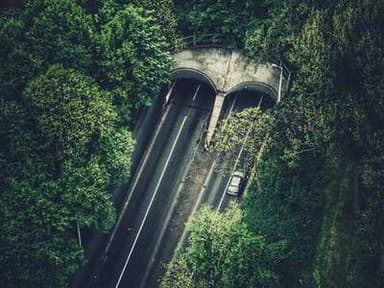 Brooklyn College Psychology and Neuroscience REU Program