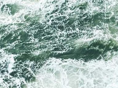 LifeSci NYC Internship Program