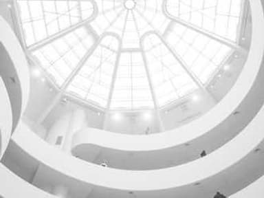 Future Ecologies Group Internship Opportunities