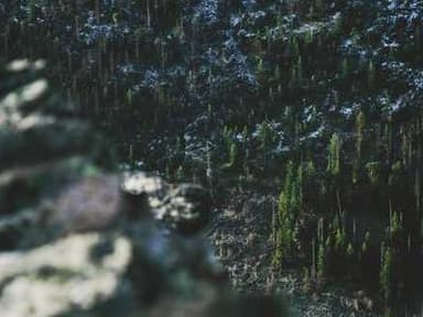 LDEO Summer Internship Program for Undergraduates