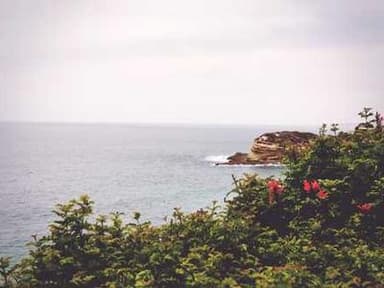 Waseda University Overseas Researcher Program