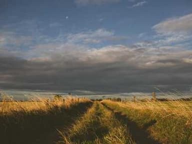 Google DeepMind Research Ready Programme