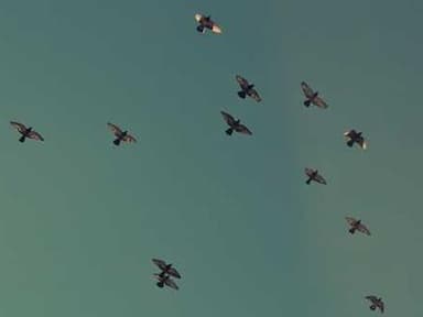 Graduate Intern, Evidence Project, Reproductive Health Program